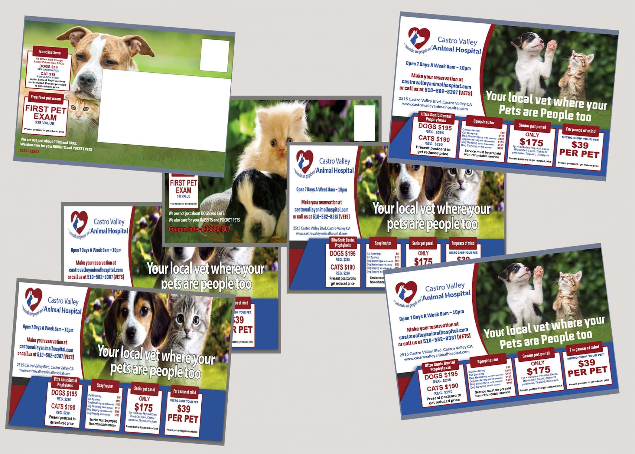 Custom Postcards for Castro Valley Animal Hospital