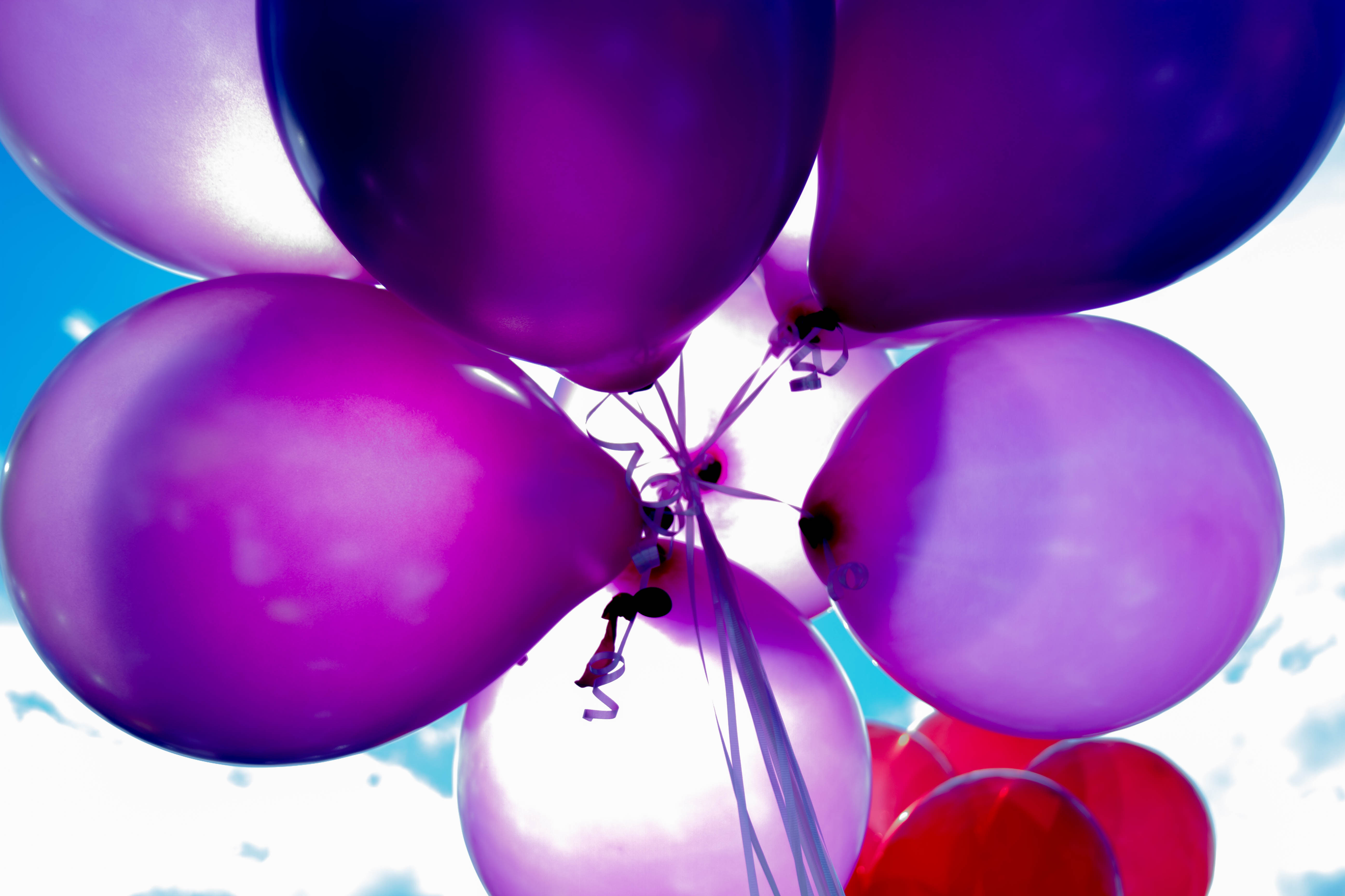Now offering Ellipsis Birthday Campaigns
