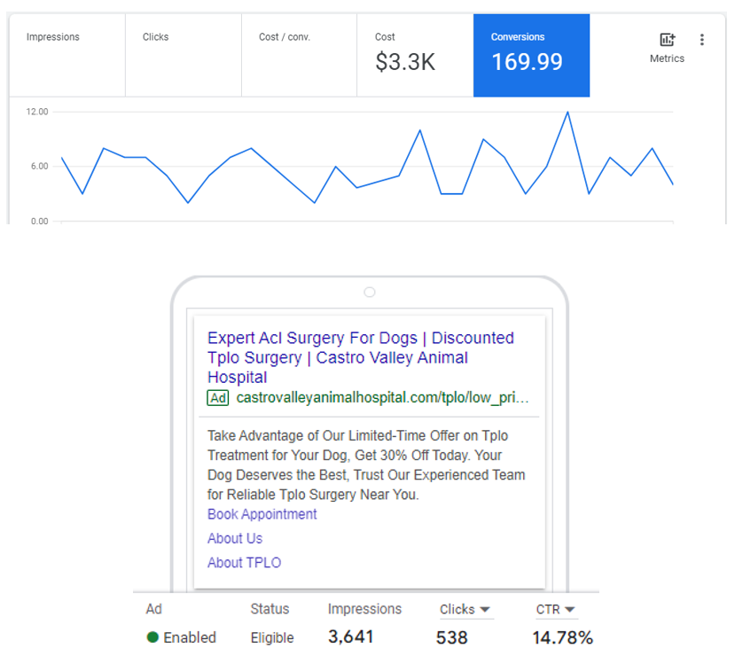 Castro Valley Animal Hospital generates 160+ leads (phone calls and web inquiries) per month using Ellipsis Google Ads 