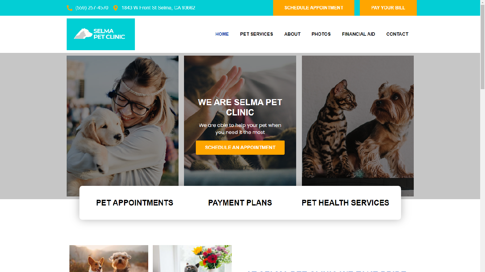 selmapetclinic.com website