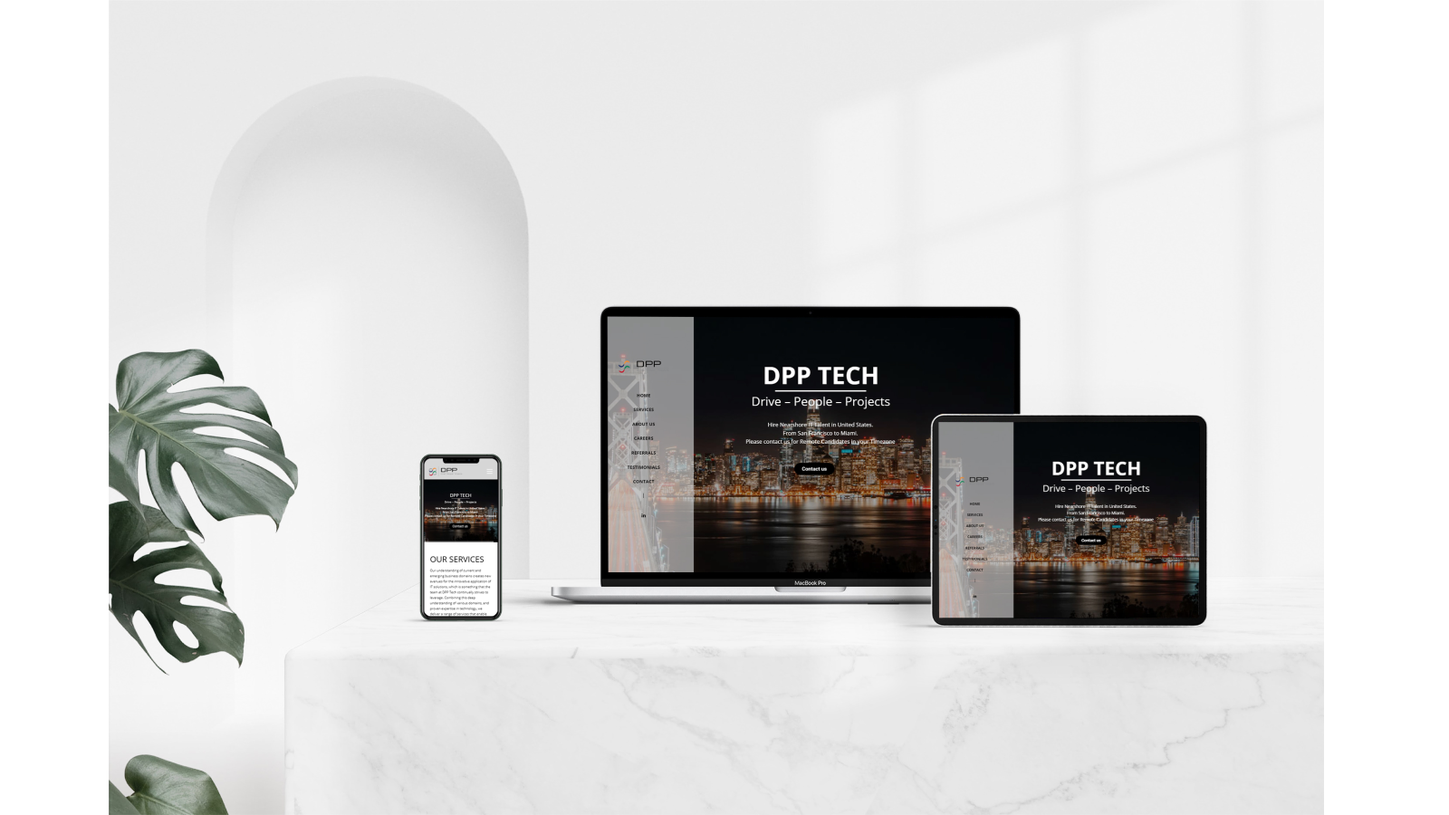 Website for DPP Tech