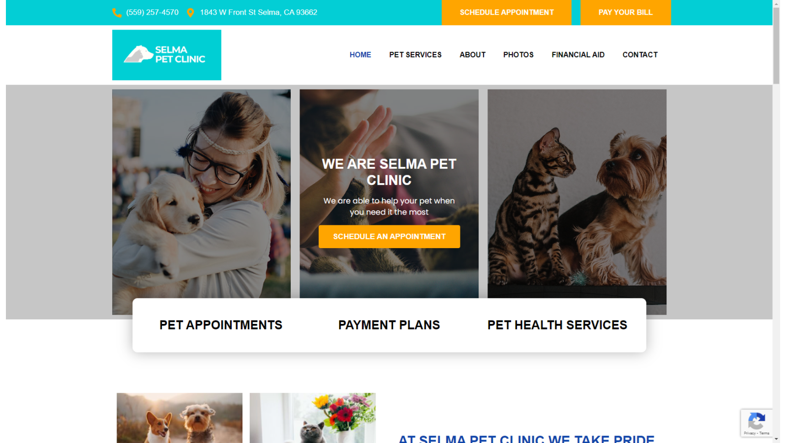 Website for Selma Pet Clinic